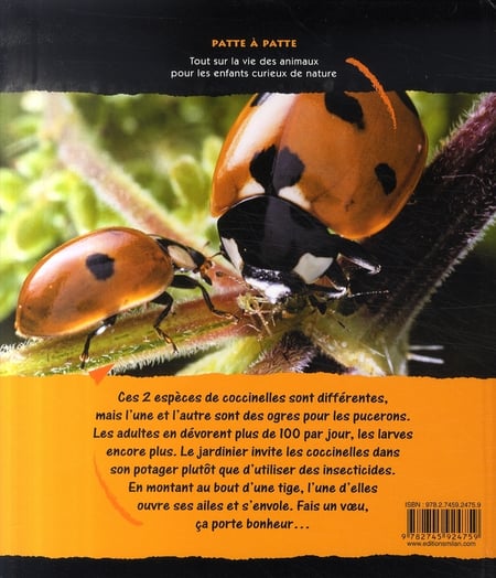 media/pim/TITELIVE/76_9782745924759_4_75.jpg