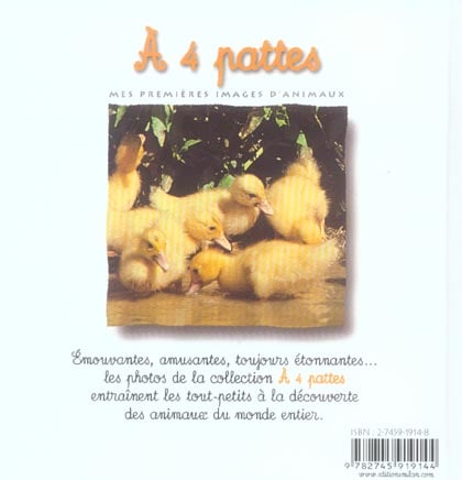 media/pim/TITELIVE/80_9782745919144_4_75.jpg