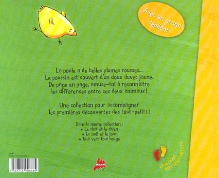 media/pim/TITELIVE/81_9782745906885_4_75.jpg