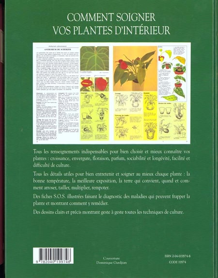 media/pim/TITELIVE/82_9782040199746_4_75.jpg