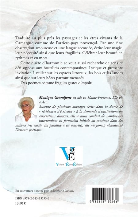 media/pim/TITELIVE/83_9782343152936_4_75.jpg