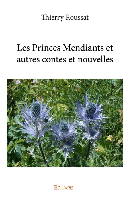 media/pim/TITELIVE/83_9782414281039_1_75.jpg