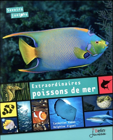 media/pim/TITELIVE/83_9782701199580_1_75.jpg