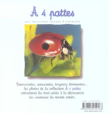 media/pim/TITELIVE/84_9782745919168_4_75.jpg