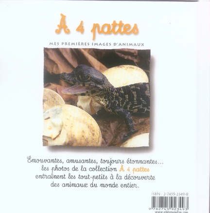 media/pim/TITELIVE/84_9782745923493_4_75.jpg