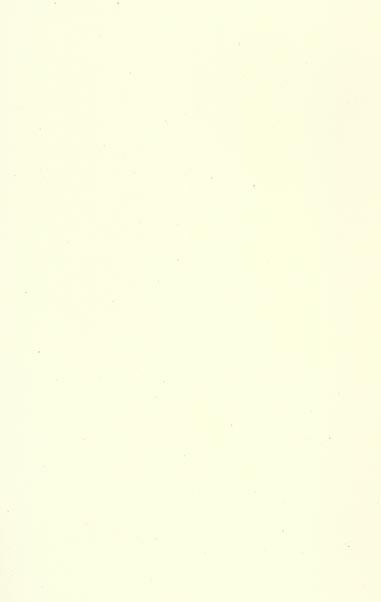 media/pim/TITELIVE/84_9782851945570_4_75.jpg