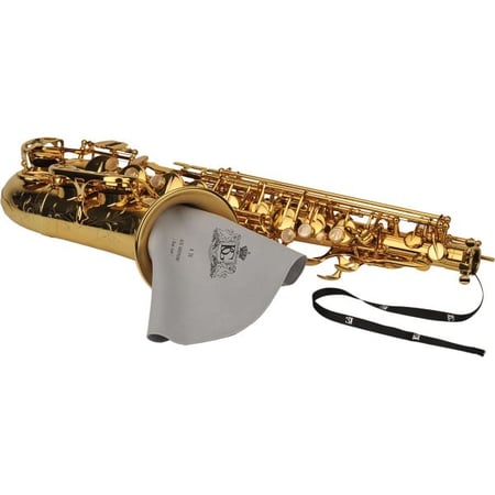media/pim/abg-a30-ecou-bg-a30-sax-alto-3700031263005_1.jpg