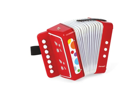 Accordéon pour enfant - VINGVO - Enfants 10 Touches - Instrument de