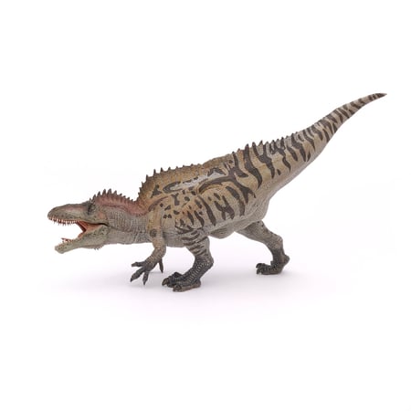 media/pim/acrocanthosaurus-3465000550622_0.jpg