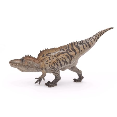 media/pim/acrocanthosaurus-3465000550622_10.png