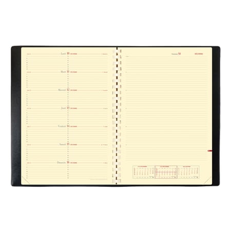media/pim/agenda-2012-note-29s-impala-plastique-graine-noir-3371010161539_5.jpg
