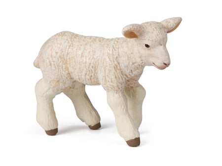 media/pim/agneau-merinos-agneau-merinos-3465000510473_0.jpg