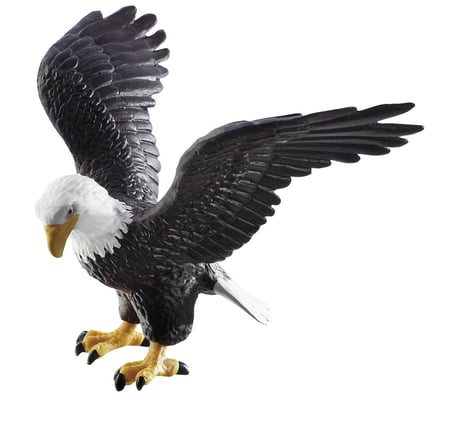 media/pim/aigle-royal-aigle-royal-4007176693513_5.jpg