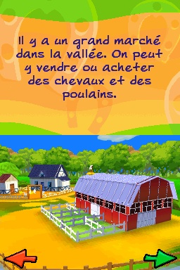 media/pim/alexandra-ledermann-8-mon-aventure-au-haras-ds-3307210264183_4.jpg