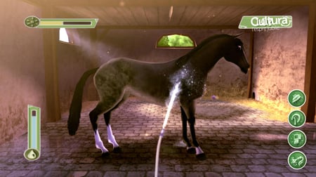 media/pim/alexandra-ledermann-le-haras-de-la-vallee-essentiels-3307217931385_3.jpg