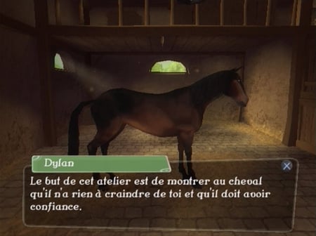 media/pim/alexandra-ledermann-le-haras-de-la-vallee-ps2-3307210264206_11.jpg
