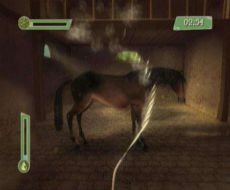 media/pim/alexandra-ledermann-le-haras-de-la-vallee-wii-3307210264190_5.jpg