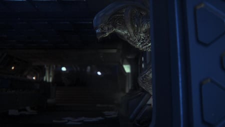 media/pim/alien-isolation-5055277023783_3.jpg