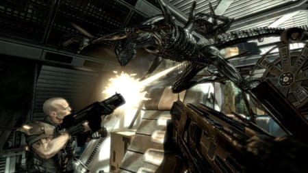 media/pim/alien-versus-predator-5055277004638_11.jpg
