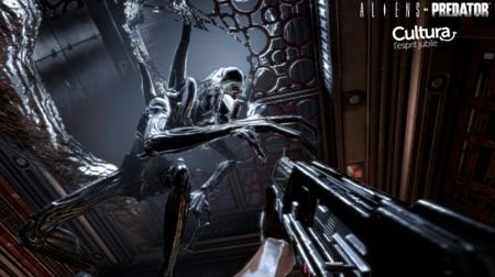media/pim/alien-versus-predator-5055277004638_4.jpg