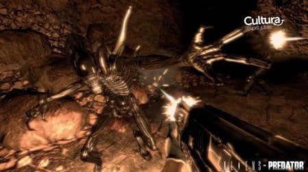 media/pim/alien-versus-predator-5055277004638_5.jpg
