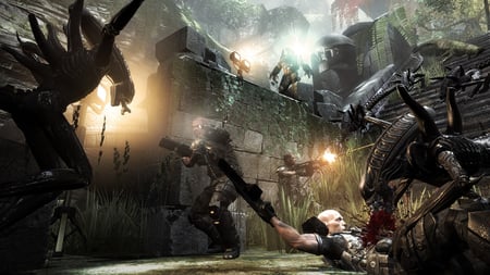 media/pim/alien-versus-predator-5055277004720_8.jpg