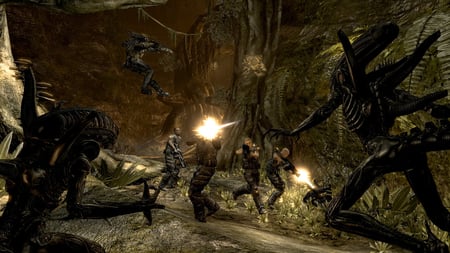 media/pim/alien-versus-predator-5055277004720_9.jpg