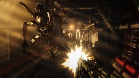 media/pim/alien-versus-predator-5055277004812_10.jpg