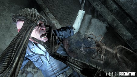 media/pim/alien-versus-predator-5055277004812_4.jpg