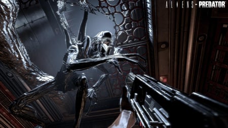 media/pim/alien-versus-predator-5055277004812_5.jpg