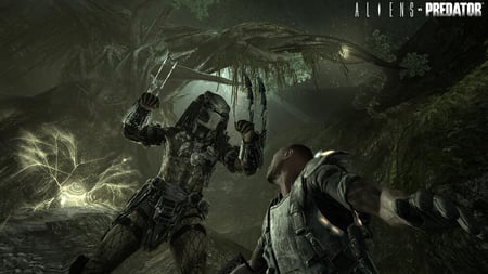 media/pim/alien-versus-predator-5055277004812_6.jpg