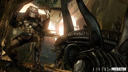 media/pim/alien-versus-predator-5055277004812_7.jpg