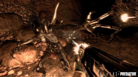 media/pim/alien-versus-predator-5055277004812_8.jpg