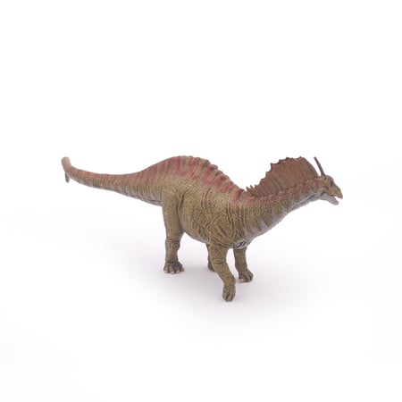 media/pim/amargasaurus-3465000550707_7.jpg