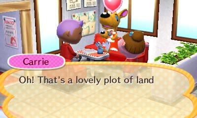 media/pim/animal-crossing-happy-home-0045496528119_5.jpg