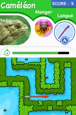 media/pim/animal-genius-ds-3307210801722_10.jpg