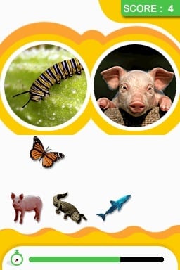 media/pim/animal-genius-ds-3307210801722_2.jpg