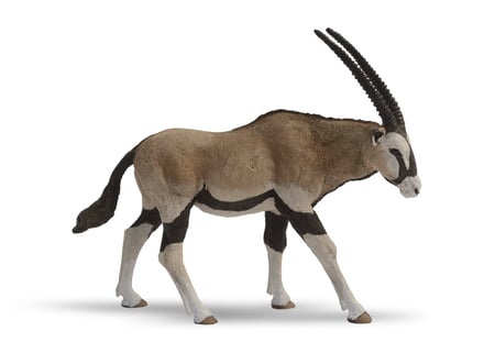 media/pim/antilope-oryx-antilope-oryx-3465000501396_0.jpg