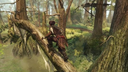 media/pim/assassin-s-creed-3-assassin-s-creed-3307216111979_8.jpg