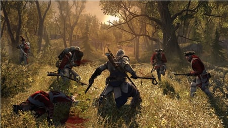 media/pim/assassins-creed-3-3307215637623_11.jpg