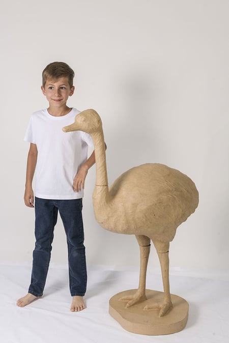 media/pim/autruche-xl-71x44x111cm-3609510140335_1.jpg