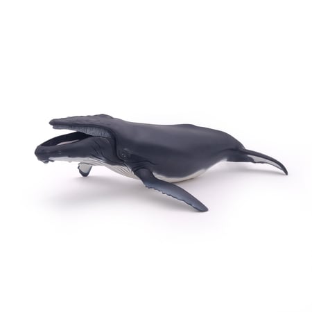 media/pim/baleine-a-bosse-baleine-a-bosse-3465000560010_7.jpg