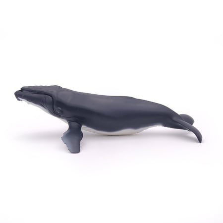 media/pim/baleine-a-bosse-baleine-a-bosse-3465000560010_9.jpg