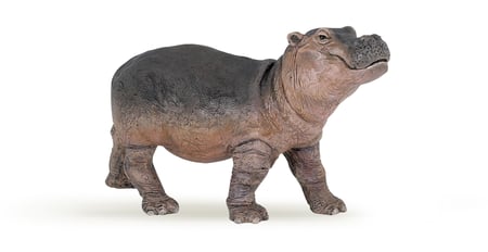 media/pim/bebe-hippopotame-bebe-hippopotame-3465000500528_0.jpg