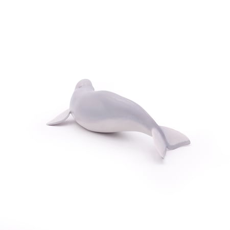 media/pim/beluga-3465000560126_10.jpg