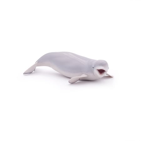 media/pim/beluga-3465000560126_11.jpg