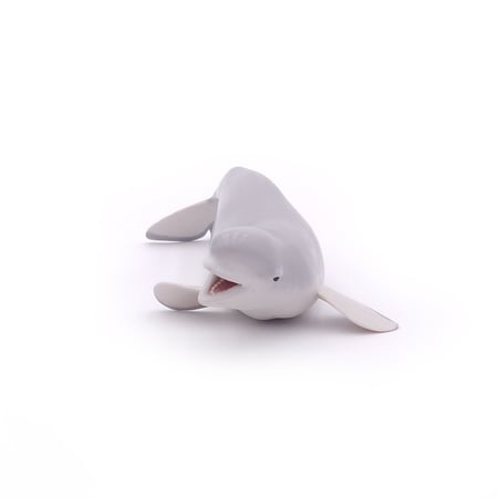 media/pim/beluga-3465000560126_7.jpg