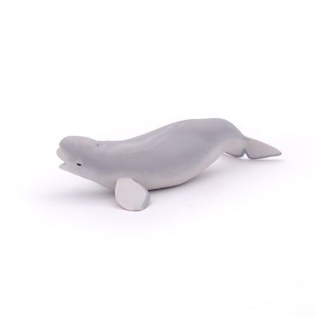 media/pim/beluga-3465000560126_8.jpg