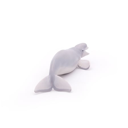 media/pim/beluga-3465000560126_9.jpg