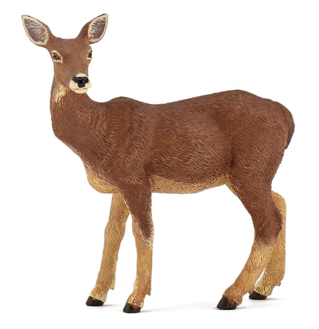 media/pim/biche-biche-3465000530143_0.jpg